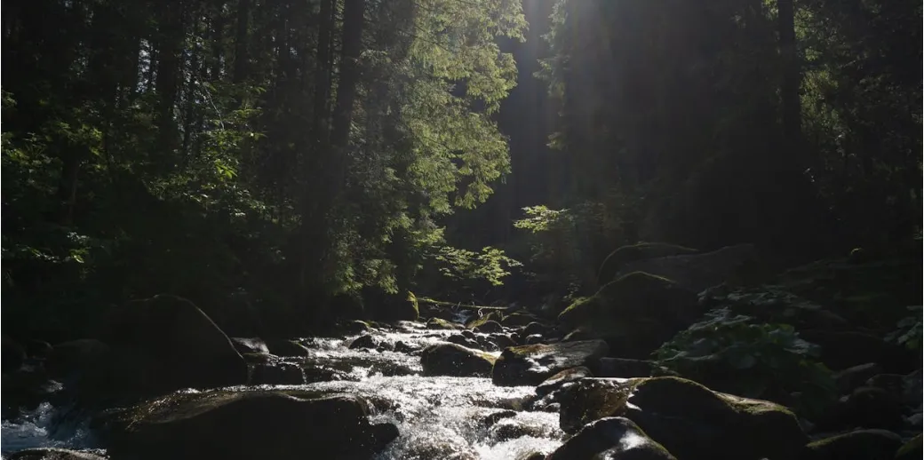 Сходження на Говерлу: маршрути та корисні поради - 2 - Robinzon.ua