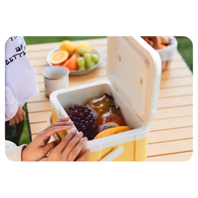 Туристический холодильник Naturehike CNK2450CF012, 5 л, бежевый - 2 Туристический холодильник Naturehike CNK2450CF012, 5 л, бежевый - 2 - Robinzon.ua