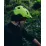 Шлем велосипедный POC Axion SPIN,Fluorescent Yellow/Green Matt, M/L (PC 107328293MLG1) - 4 - Robinzon.ua