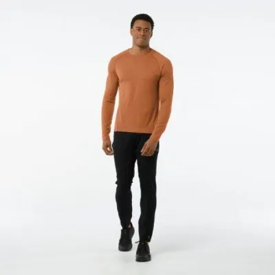 Термофутболка чоловіча Smartwool Merino 150 Baselayer Pattern Long Sleeve Cardamom, р.XL (SW 14051.877-XL) - 3 - Robinzon.ua