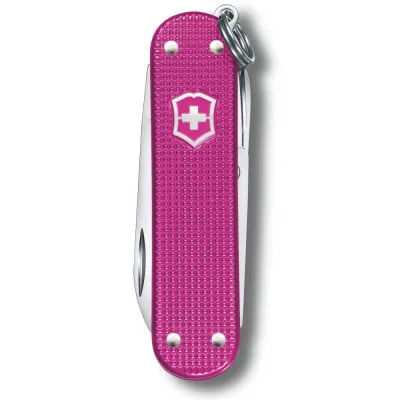 Складной нож Victorinox Classic SD Vx06221.251G - 1 - Robinzon.ua