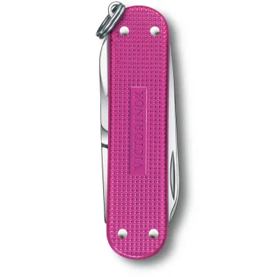 Складной нож Victorinox Classic SD Vx06221.251G - 2 - Robinzon.ua
