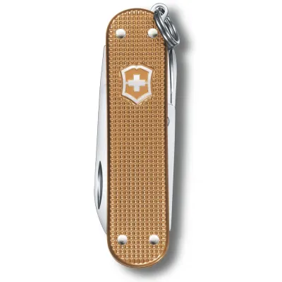 Складной нож Victorinox Classic SD Vx06221.255G - 1 - Robinzon.ua