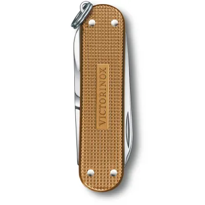Складной нож Victorinox Classic SD Vx06221.255G - 2 - Robinzon.ua