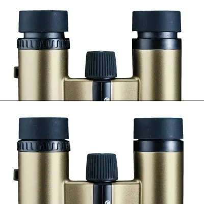 Бінокль Vanguard Vesta Compact 10x21 WP Champagne (Vesta 1021 Cham) - 3 Бінокль Vanguard Vesta Compact 10x21 WP Champagne (Vesta 1021 Cham) - 3 - Robinzon.ua