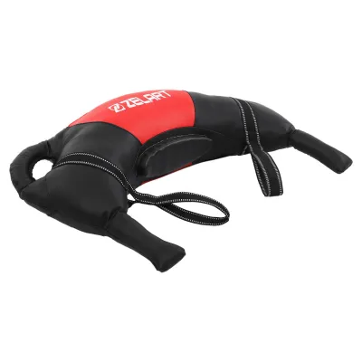 Мешок Болгарский тренировочный Zelart TA-7826-20 вес 20кг - 6 Мешок Болгарский тренировочный Zelart TA-7826-20 вес 20кг - 6 - Robinzon.ua