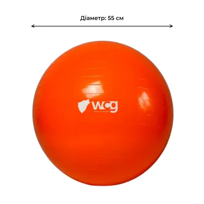 Фитбол (мяч для фитнеса) 55 см WCG 55 Anti-Burst нагрузка 300кг оранжевый Фитболы - 1 - Robinzon.ua