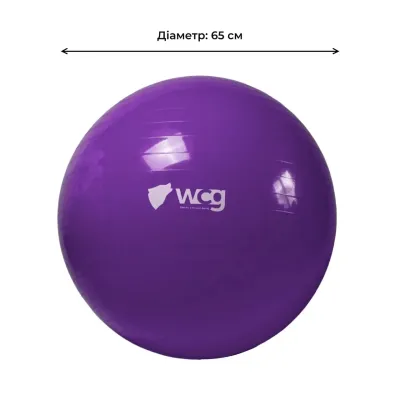 Фитбол (мяч для фитнеса) 65 см WCG W-000-65-P Anti-Burst нагрузка 300кг фиолетовый Фитболы - 3 - Robinzon.ua