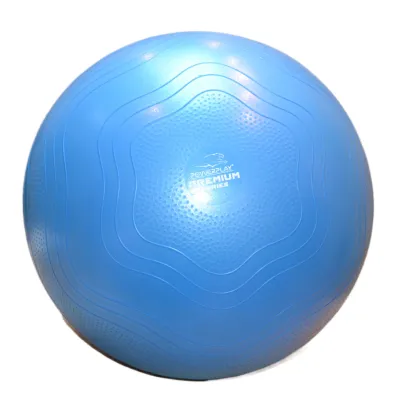 Мяч для фитнеса (фитбол) укрепленный PowerPlay 4000 &Oslash;65 cm Premium Gymball Anti-Burst Синий + насос - 1 - Robinzon.ua
