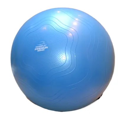 Мяч для фитнеса (фитбол) укрепленный PowerPlay 4000 &Oslash;65 cm Premium Gymball Anti-Burst Синий + насос - 2 - Robinzon.ua