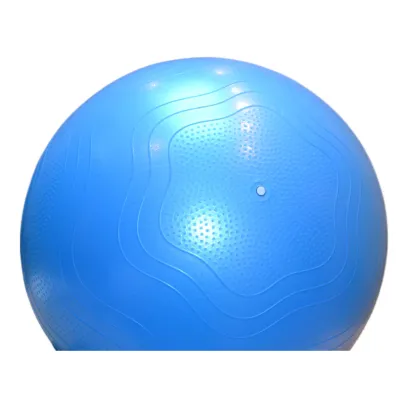 Мяч для фитнеса (фитбол) укрепленный PowerPlay 4000 &Oslash;65 cm Premium Gymball Anti-Burst Синий + насос - 4 - Robinzon.ua