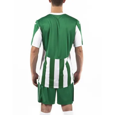 Футболка Joma COPA зелений,білий XS 100001.450 XS - 2 - Robinzon.ua