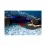 Купальник закритий для жінок Arena DREAMHLINE SWIMSUIT V BACK Чорний 38 (008328-500 38) - 4 - Robinzon.ua