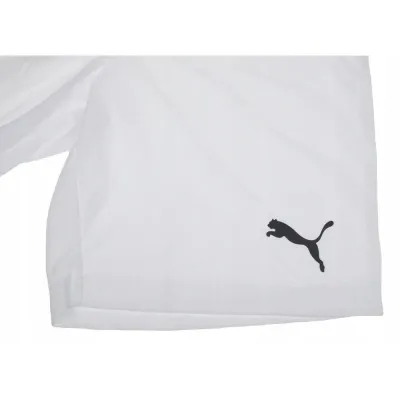 Шорты Puma teamRISE Short белый Муж XL 704942-03 XL - 2 - Robinzon.ua
