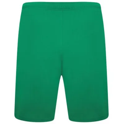 Шорты Puma teamRISE Short зеленый Муж 2XL 704942-05 2XL - 1 - Robinzon.ua