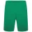 Шорты Puma teamRISE Short зеленый Муж 2XL 704942-05 2XL - 1 - Robinzon.ua