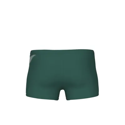 Плавки-шорты для мужчин Arena BRIGHT GLARE SWIM SHORT зеленый, белый Муж 85 008941-601 85 - 1 - Robinzon.ua