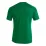 Футболка Joma PISA ll Зелений,Білий 153-164 (102243.452 153-164) - 1 - Robinzon.ua