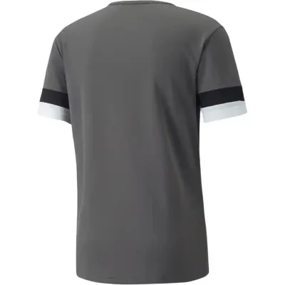 Футболка Puma teamRISE Jersey серый Муж XXL 704932-13 XXL - 1 - Robinzon.ua
