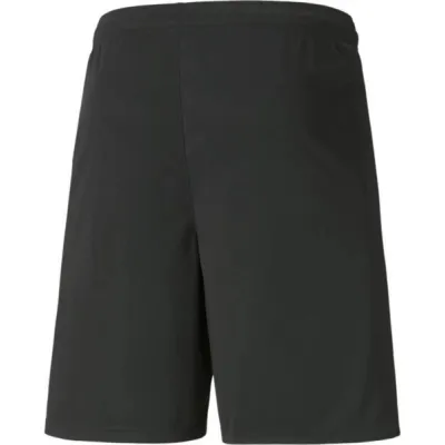 Мужские Шорты Puma teamLIGA Shorts черный Муж S 704924-03 S - 1 - Robinzon.ua