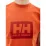 Мужская Футболка HELLY HANSEN HH BOX T Оранжевый L (7d53285-179 L) - 2 - Robinzon.ua