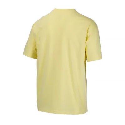 Мужская Футболка Nike M NK SB TEE SPRING BREAK Желтый S (DX9457-706) - 1 - Robinzon.ua