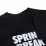 Мужская Футболка Nike M NK SB TEE SPRING BREAK Черный L (DX9457-010) - 2 - Robinzon.ua