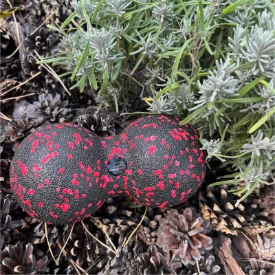 Массажный мяч двойной PowerPlay PP-4352 Epp foam peanut ball (d8*16cm.) Черно/Красный - 5 - Robinzon.ua