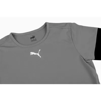 Футболка Puma teamRISE Jersey Jr сірий Діт 140 см 704938-13 140 - 1 - Robinzon.ua