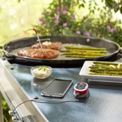 Термометр iGrill мини Bluetooth Weber 7220. - 1 - Robinzon.ua