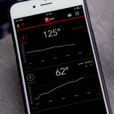 Термометр iGrill мини Bluetooth Weber 7220. - 3 - Robinzon.ua