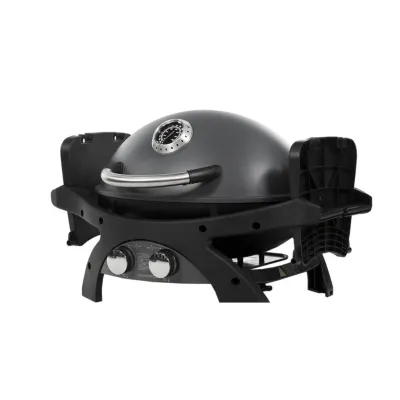 Портативный газовый гриль Pit Boss Sportsman 2, 10752 + (31913,40416,40418,40420,40422). - 1 - Robinzon.ua