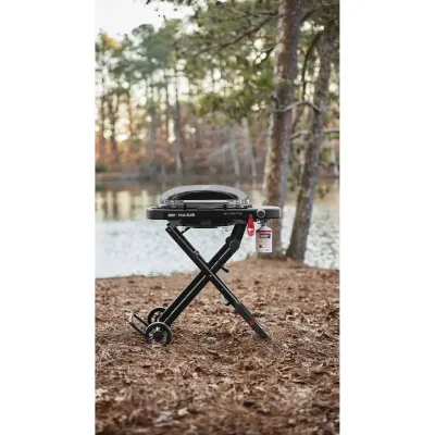 Газовый гриль Weber Traveler Compact Portable 1500527 - 3 - Robinzon.ua