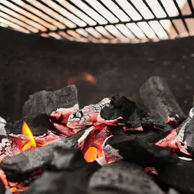 Вугілля деревне бездимне Big Green Egg 9 кг 818924 - 3 - Robinzon.ua