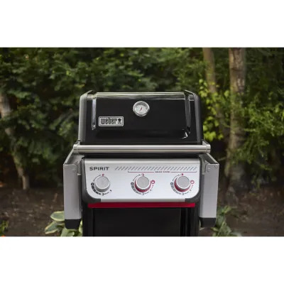 Газовый гриль Weber Spirit E-325 1501307 - 6 - Robinzon.ua