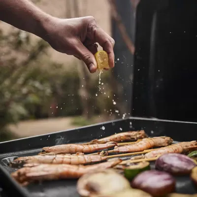 Газовий гриль-планча Weber Slate GP Premium 43 cm 1501161 - 5 Газовий гриль-планча Weber Slate GP Premium 43 cm 1501161 - 5 - Robinzon.ua