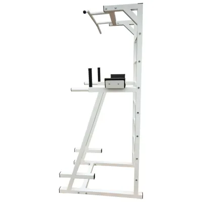 Турник + пресс + брусья шведская стенка 50х50 мм Белый Спортивные стенки и турники для дома разборная - 1 - Robinzon.ua