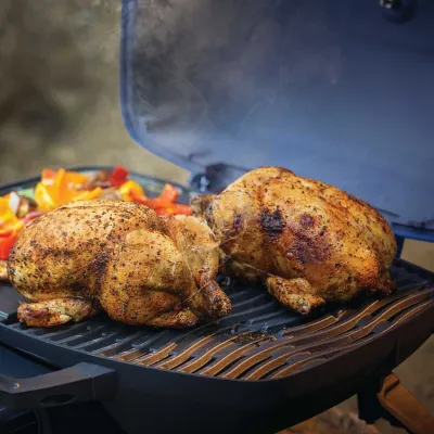 Газовый портативный гриль Napoleon TravelQ TQ285-BK-1-CE. - 3 - Robinzon.ua