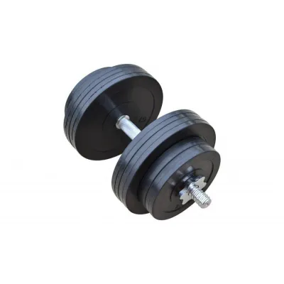 Гантель обрезиненная наборная Одна на 31 кг  Гантели, гири, штанги и диски металлическая - 1 - Robinzon.ua