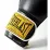 Боксерські рукавиці  Everlast 1910 CLASSIC TRAINING GLOVE чорний Уні 14 унцій P00001711 - 1 - Robinzon.ua