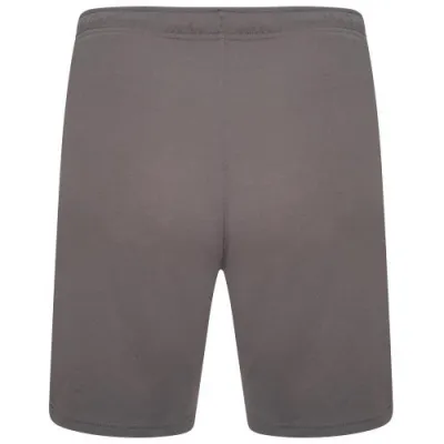 Шорты Puma teamRISE Short серый Муж XXL 704942-13 XXL - 1 - Robinzon.ua