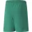 Шорты Puma teamRISE Short Jr зеленый Дет 164 см 704943-05 164 см - 1 - Robinzon.ua