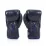 Боксерские перчатки Fairtex BGV1 Nation Print Blue 14 унций - 2 - Robinzon.ua