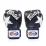 Боксерские перчатки Fairtex BGV1 Nation Print Blue 10 унций - 1 - Robinzon.ua