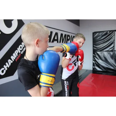 Боксерські рукавиці PowerPlay 3004 JR Classic Синьо-Жовті 6 унцій - 6 Боксерські рукавиці PowerPlay 3004 JR Classic Синьо-Жовті 6 унцій - 6 - Robinzon.ua