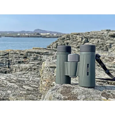 Бінокль Kowa BD II 10x32 XD (11897) - 6 - Robinzon.ua