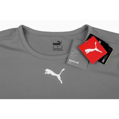 Футболка Puma teamRISE Jersey Jr сірий Діт 116 см 704938-13 116 - 2 - Robinzon.ua