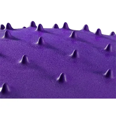 М'яч для фітнесу EasyFit 65 см фіолетовий (фітбол масажний) - 1 М'яч для фітнесу EasyFit 65 см фіолетовий (фітбол масажний) - 1 - Robinzon.ua