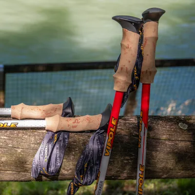 Палки трекинговые Vipole Trekker Cork (S25 09) - 6 - Robinzon.ua