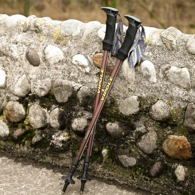 Палиці трекінгові Vipole Trango (S25 15) - 5 - Robinzon.ua